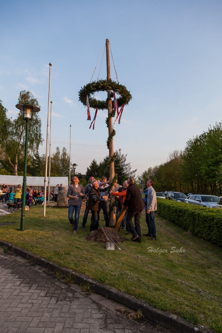 Bild 139 - Wiemersdorfer Maibaum